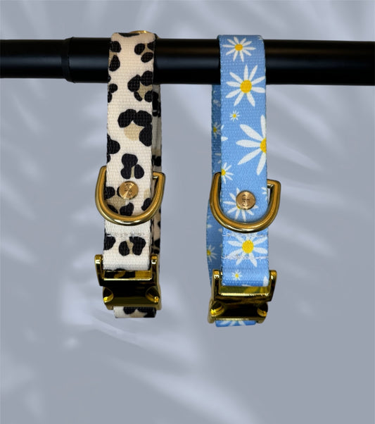 Halsband "Daisy" & "Leo" aus recycelten Material